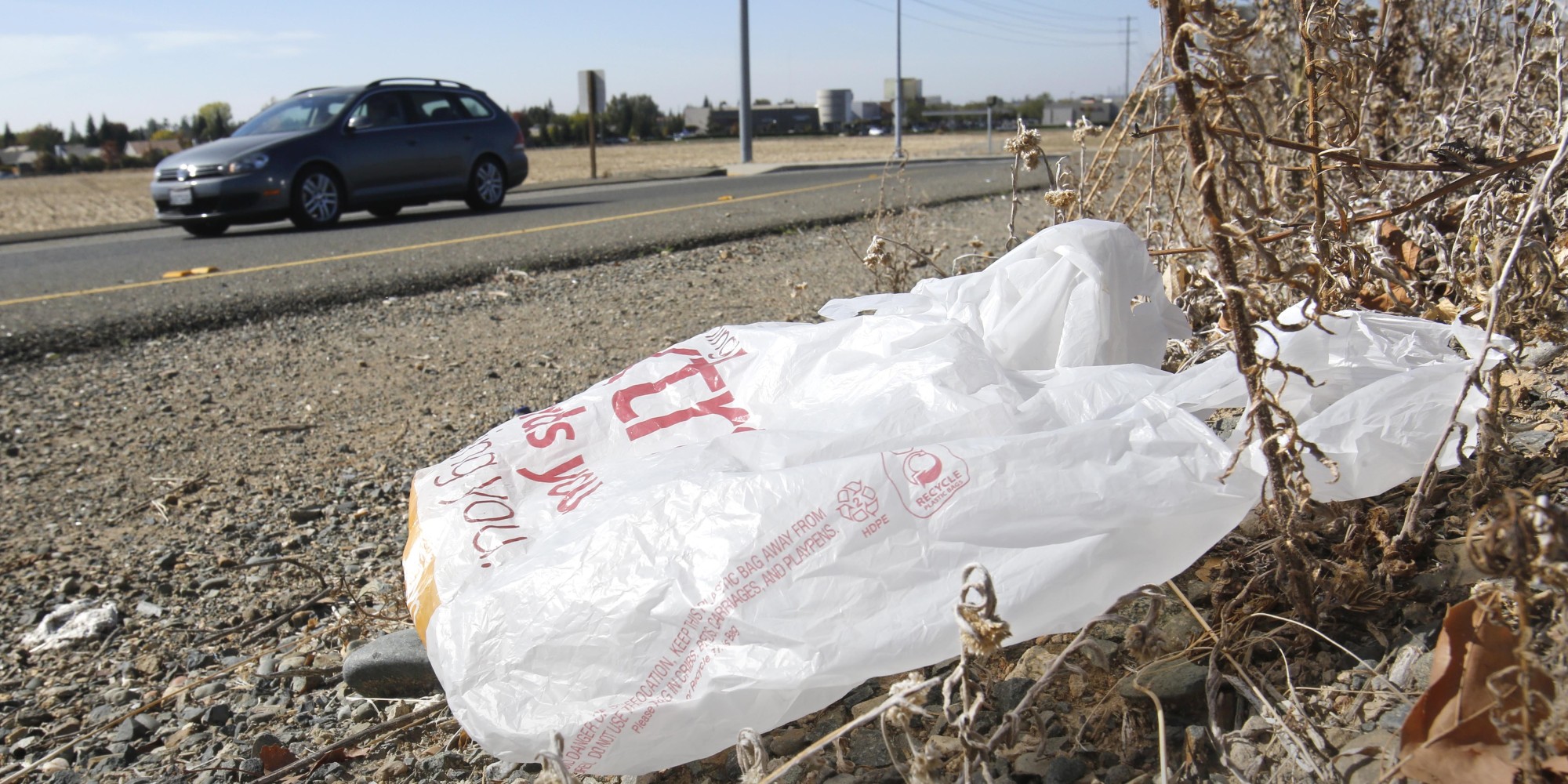 In this photo taken Friday, Oct. 25, 2013, a plastic shopping bag liters the roadside in Sacramento, Calif. In an effort to reduce the cluttering of California, in 2006 the state Legislature passed a law requiring grocery stores and other large retailers to give consumers an easy way of returning used bags. Seven years later it's virtually impossible to know how the law it working. (AP Photo/Rich Pedroncelli)